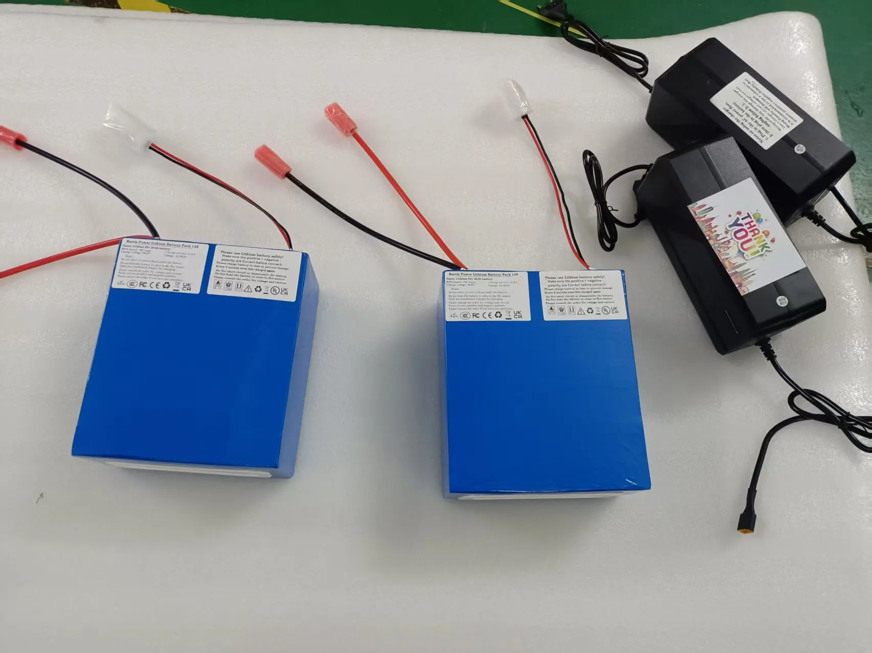 48v 50ah 35ah lithium ion battery pack 48V li ion BMS for 2500W 1500w tricycle cruiser tricycle bike scooter +5A Charger