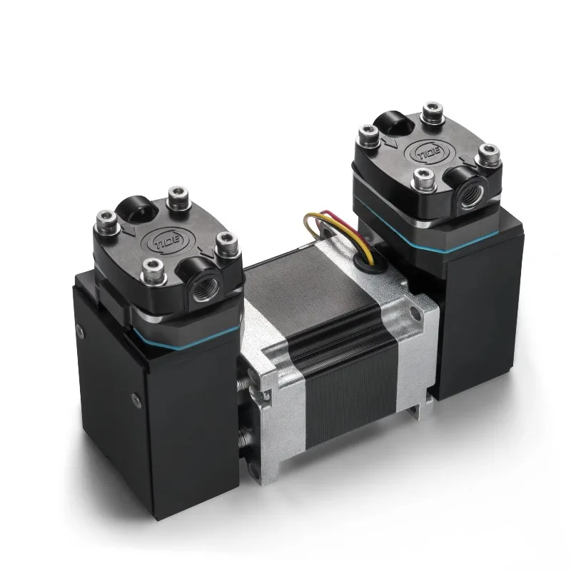 Doppelköpfe, 24 V, elektrische Gleichstrom-Luftpumpen, 8 bar, PWM-Geschwindigkeit, einstellbare Gaspumpe, bürstenloser Kompressor, kleine Schaukelkolben-Vakuumpumpe