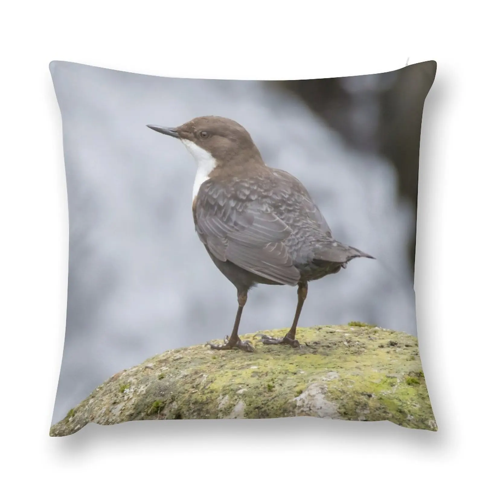 White Throated Dipper Throw Pillow christmas supplies Marble Cushion Cover Cushion Cover Luxury Sofa Cushion pillow