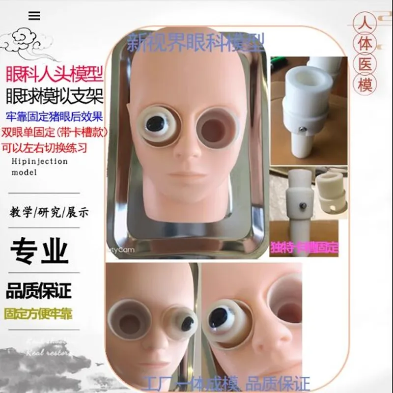 Eye surgery practice model Eyeball simulated stent eye head model eye capsular tearing practice model