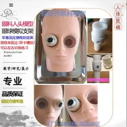 Eye surgery practice model Eyeball simulated stent eye head model eye capsular tearing practice model