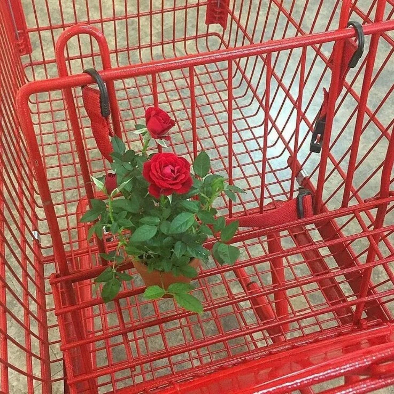 

Наконечники передних звеньев из сплава GPM 7075, оригинальные для AXIAL 1/6 SCX6