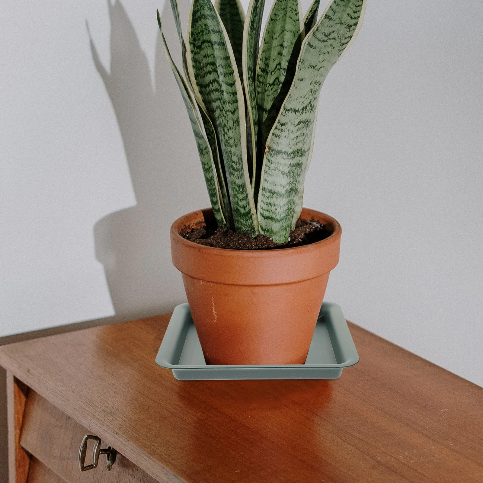 

4pcs Plant Saucers Square Resin Flowerpot Trays For Indoor Outdoor Garden Bonsai Succulent Pot Holder Water Catching Tray