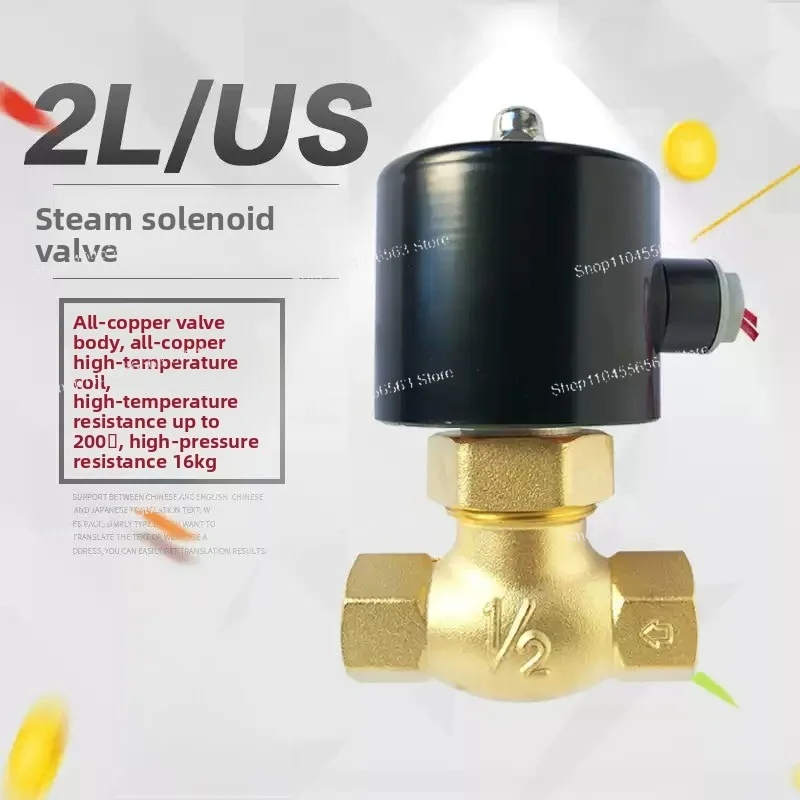 1/2 3/4 1 Inch All Copper High Temperature Steam Solenoid Valve Electric Control Valve 12V 24V 110V 220V