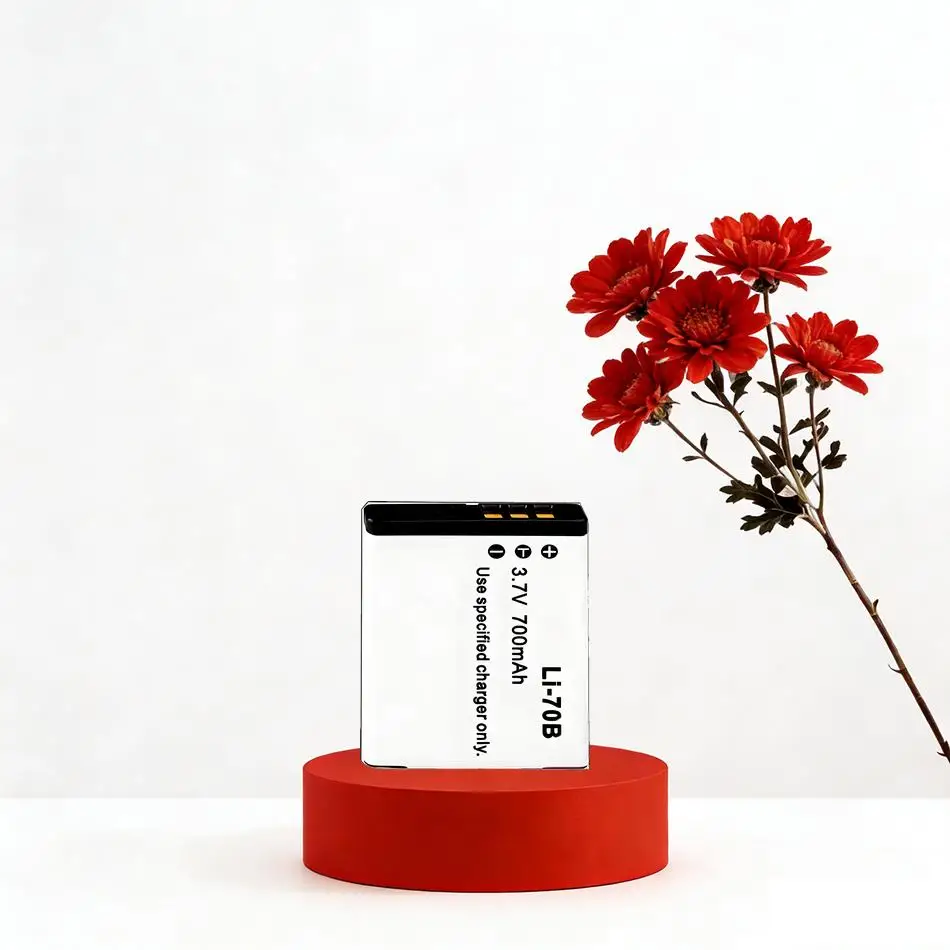 For Olympus VG-110 …