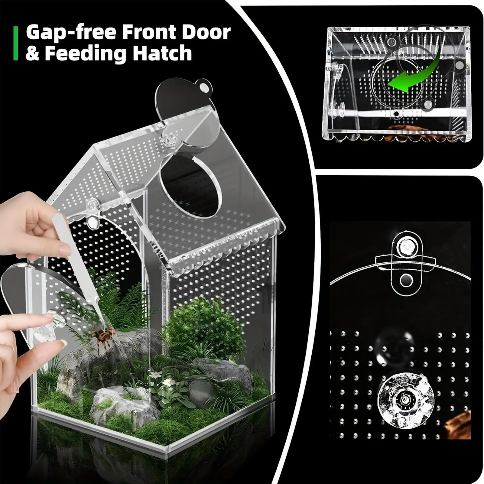 

Акриловый мини-террариум для прыгающих пауков, морских раков, мантис, жуков, магнитный контейнер для дома и рабочего стола, для мелких домашних животных и рептилий