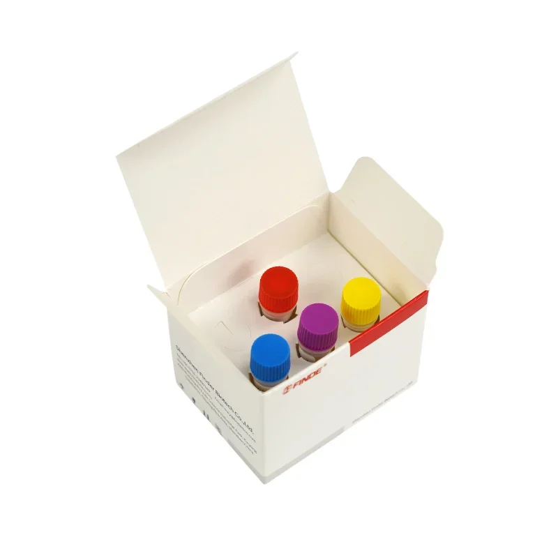 Kit Instrumento Veterinário do Vale do Rift, Vírus da Febre, RVFV, RT-PCR, Ferramenta de Diagnóstico e Detecção de Saúde Animal