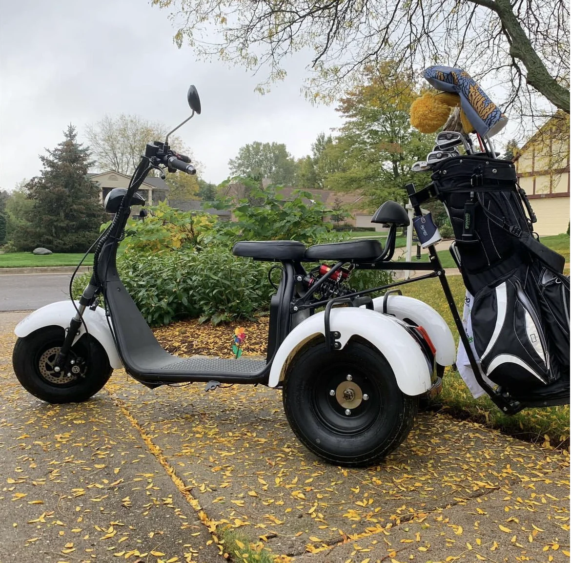 ZAIQU  australia market Wholesale Customization Label Wholesale Parison 2 Seaters 3 Wheel Golf Cart three wheel golf scooters