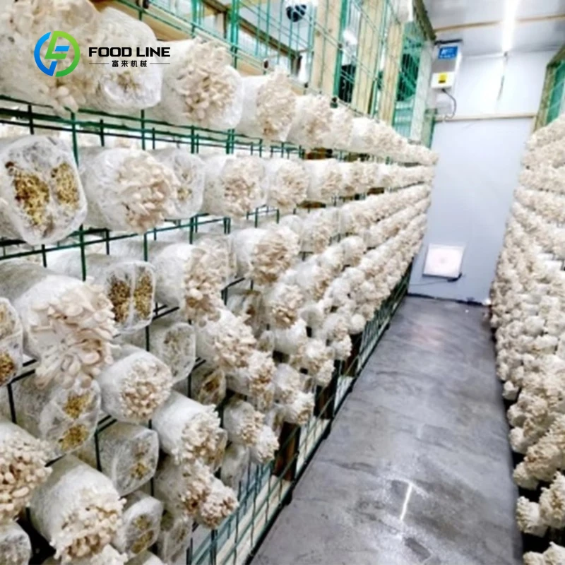 Customized 20/40Feet Shipping Growing Mushroom Container Farm Container Plant Factory with Automatic System