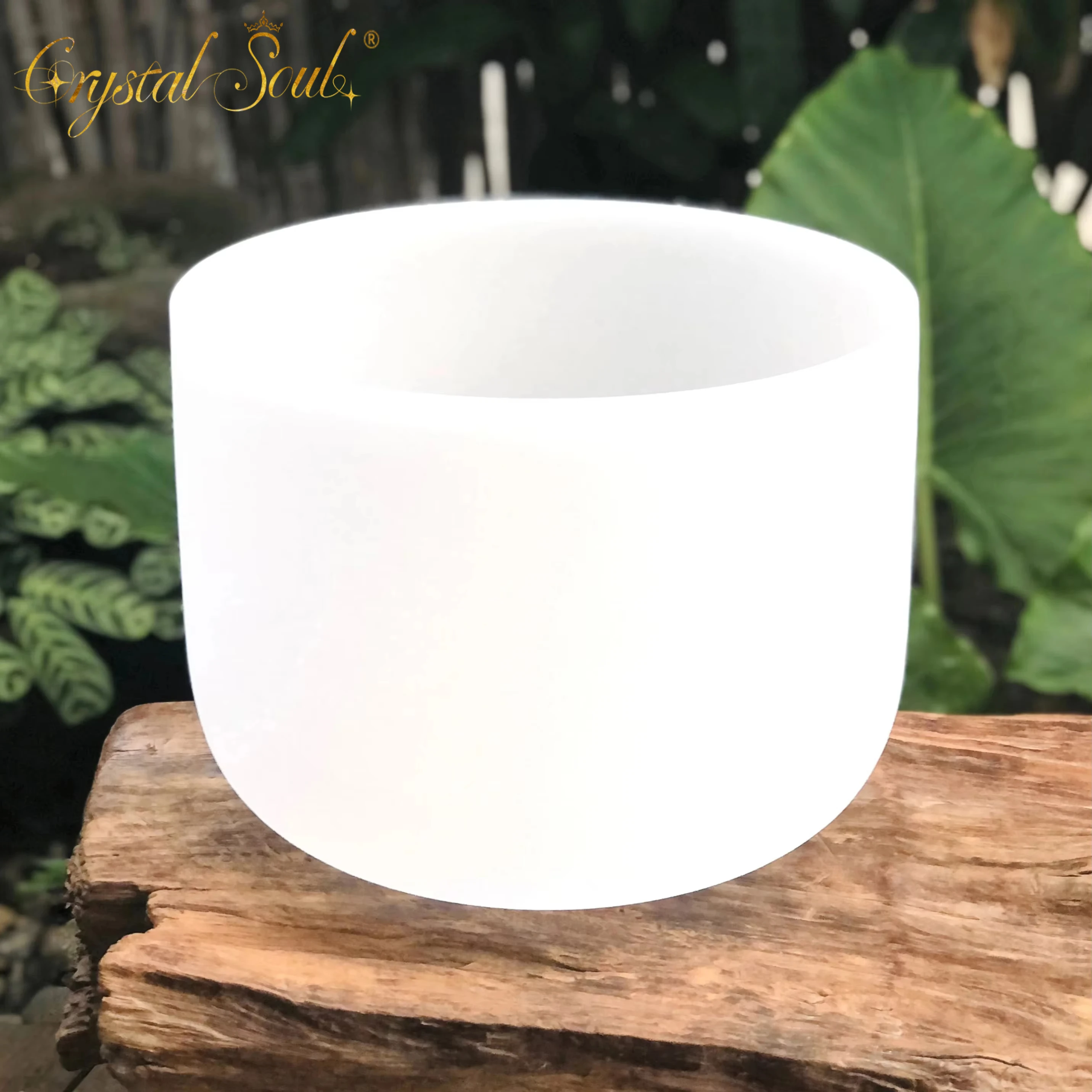 

CrystalSoul 432Hz 6 Inch Crystal Quartz Frosted Bowls Crystal Singing Bowl with bag and accessories