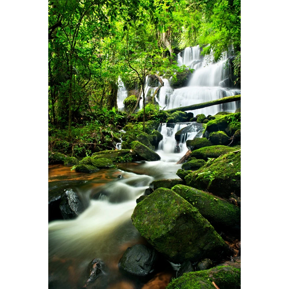 Jungle Forest Waterfall Backdrop Nature Scene Baby Adult Portrait Birthday Party Photography Background Decor Photo Studio Props