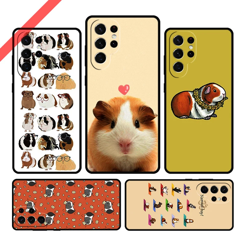 Cartoon Guinea Pig … - image