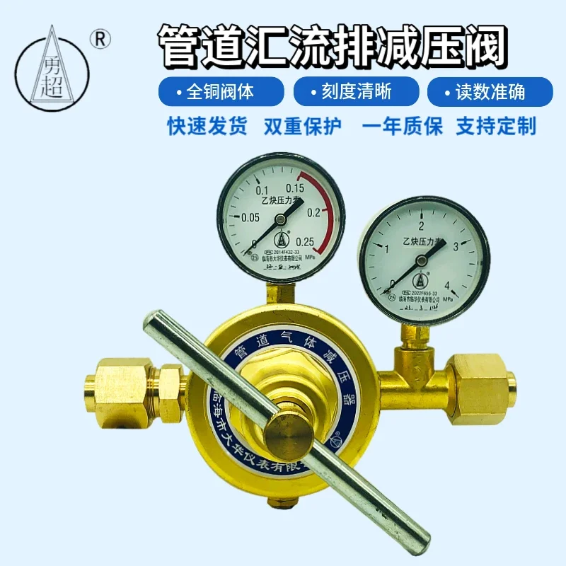 Acetylene Pressure Reducer YQEG-224 Pipeline Pressure Reducing Valve with Large Flow Rate Tools