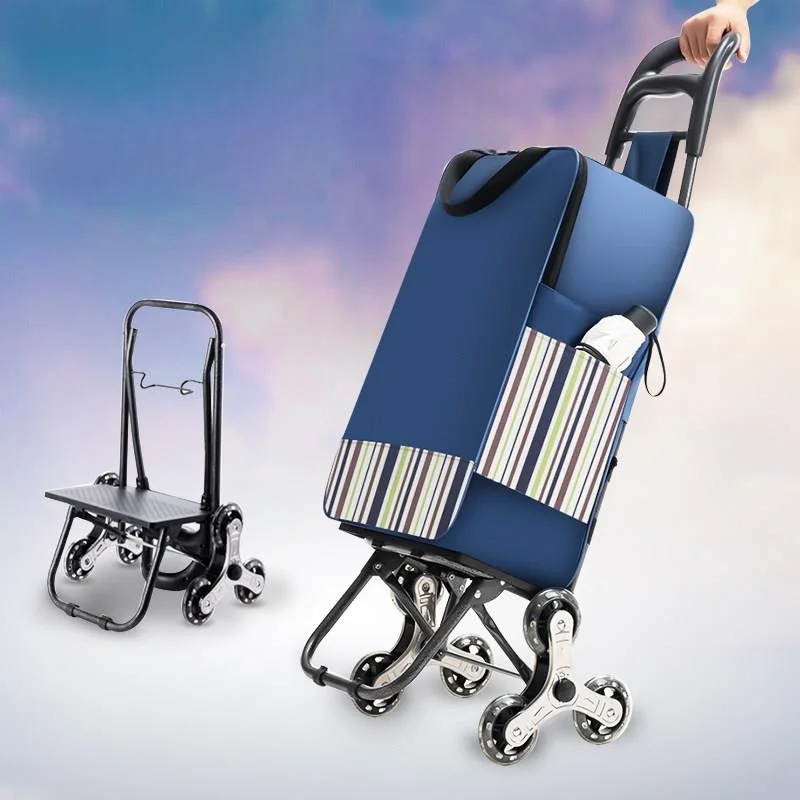 carrello-spesa-portatile-saliscale-per-anziani-carrello-a-mano-per-la-spesa-di-verdure-mini-carrello-domestico-in-tessuto-resistente