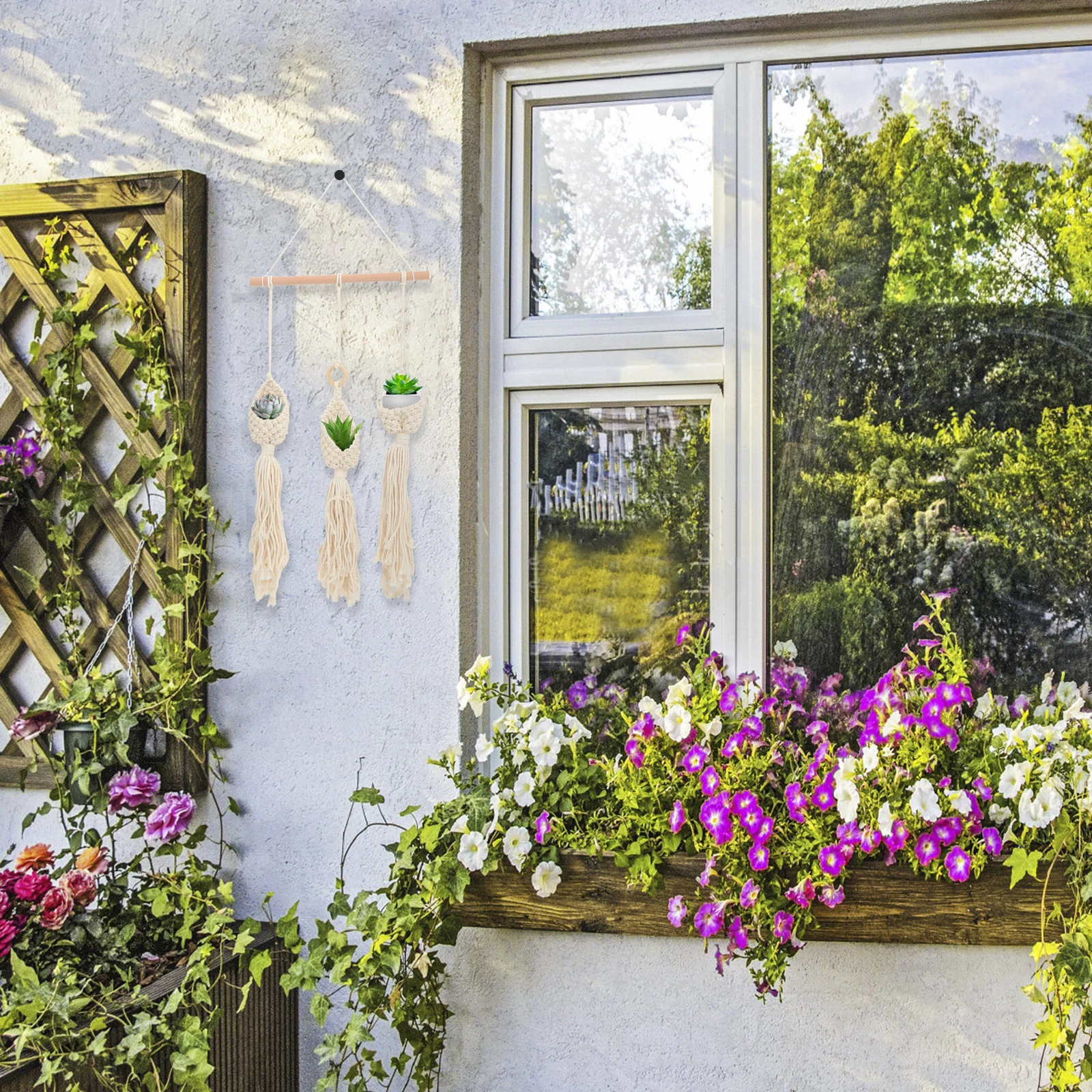 

Creative Air Plant Hanger Cotton Rope Basket Simple Hanging Decor for Home Office Tillandsia Hanging Holder Plant Hanger