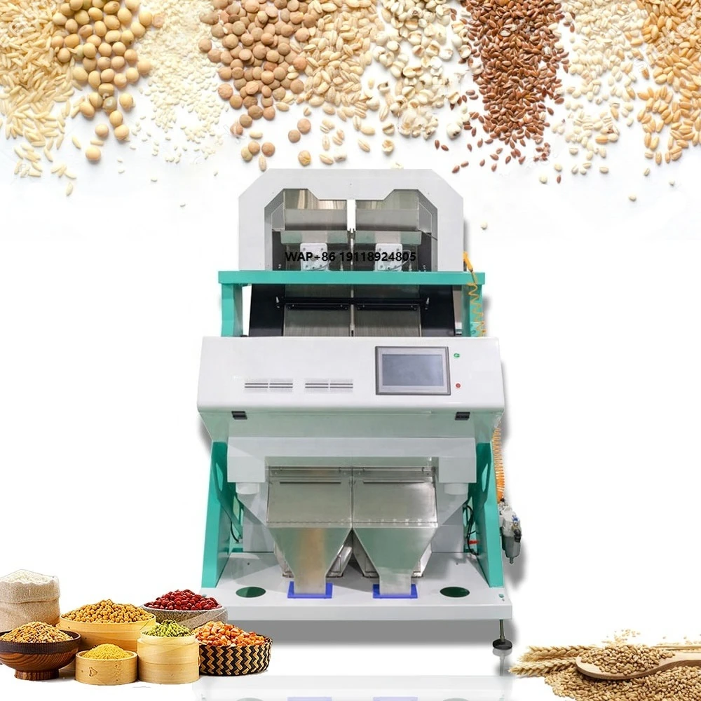 Grape Color Sorting Machines Grape Pomace Seed Separator Raisin Processing Selecting  Sorting Machine