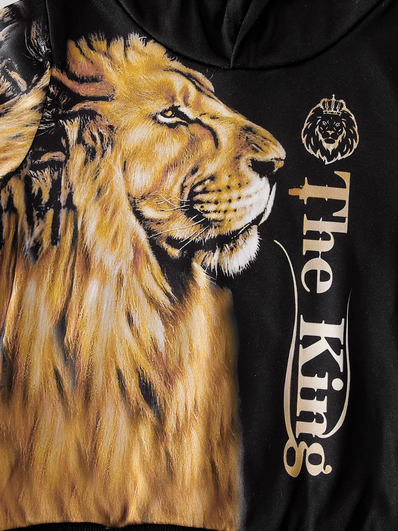 Set da due pezzi con stampa leone casual autunno inverno da ragazzo, abbigliamento comodo e alla moda per bambini