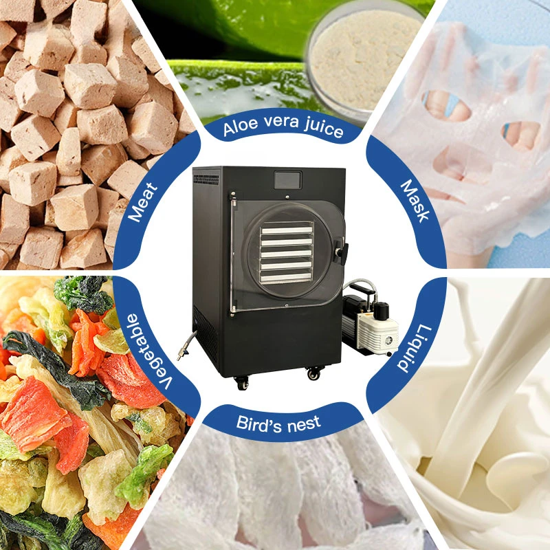 Easy-To-Operate High-Efficiency Drying Small Home Lyophilizer Freeze Dryer Energy-Saving Food Processing Vegetables Foods