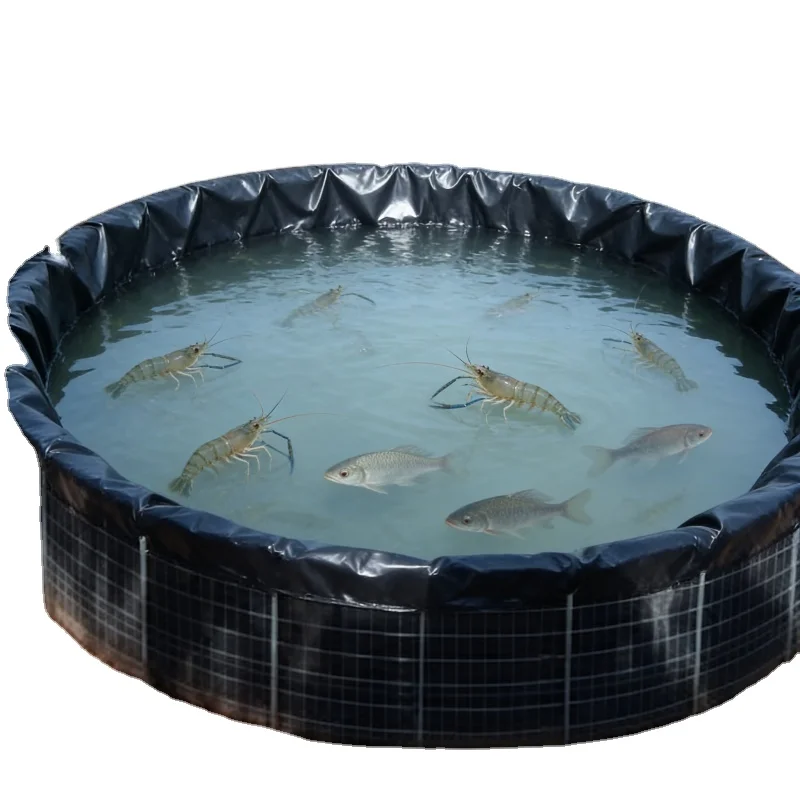 Factory Supply HDPE Geomembrane Pond Liner Custom Thickness for Aquaculture Reservoir Landfill and Mining Projects