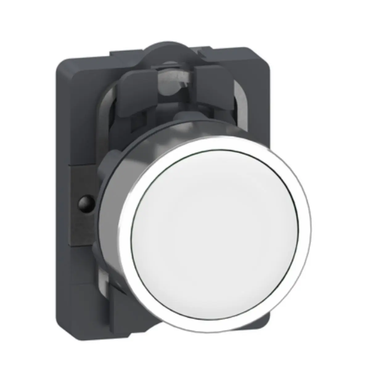 

XA2AA11 Complete push button