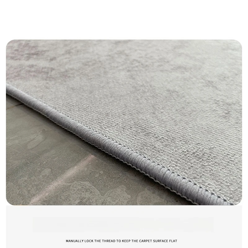 Rich Fish Carpet Living Room Simple Coffee Table Sofa Bedroom Room Full of Bed Edge Blanket Advanced Sense of Good Care Mat