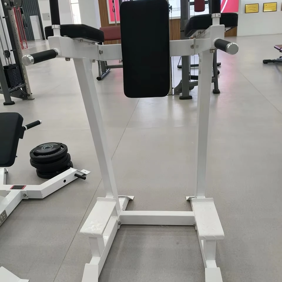 

Gym Fitness Machine Adjustable Metal Chin Dip & Leg Raise Station with Safety Features