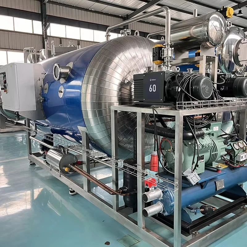 Customized Stainless Steel Food Grade Vacuum Lyophilizer Freeze Dryer for Mushroom Vegetables Herbs Powder