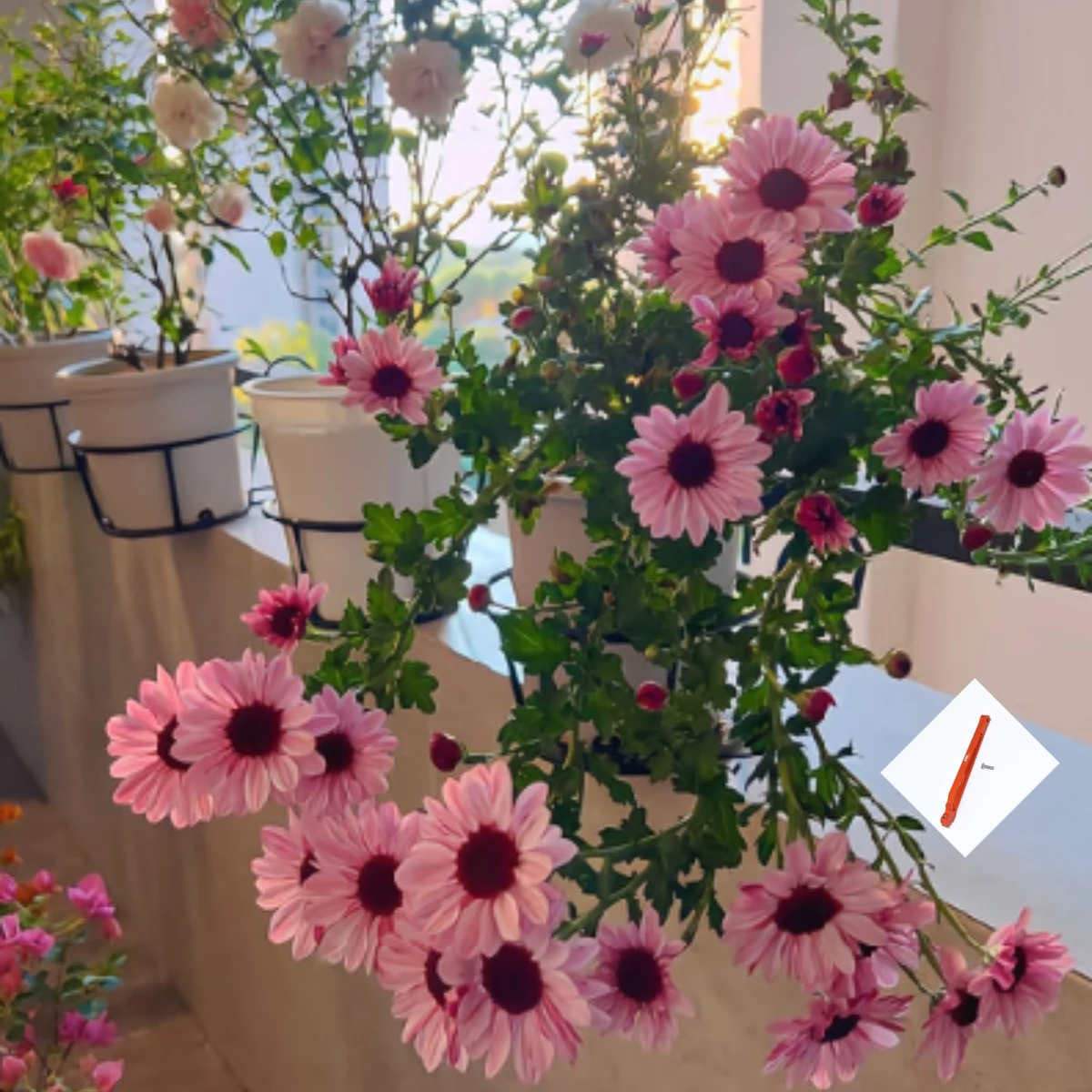 

GPM Aluminum Rear Chassis Brace For 1/7 Mojave 6S Blx Desert Truck Big Rock ARRM