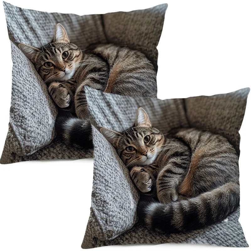 Cat Nap Artistic Design Pillowcase Adorable and Comforting Gift for Cat Lovers and Cozy Home Decor Enthusiasts(no insert 1PC)