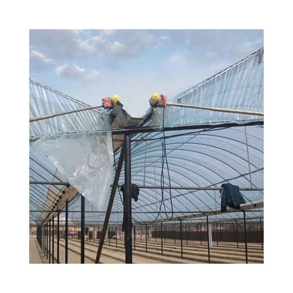 2025Factory DC24V 100W Rullo Elettrico Serra Film Elettrico Roll up Motore Elettrico Flim Roller