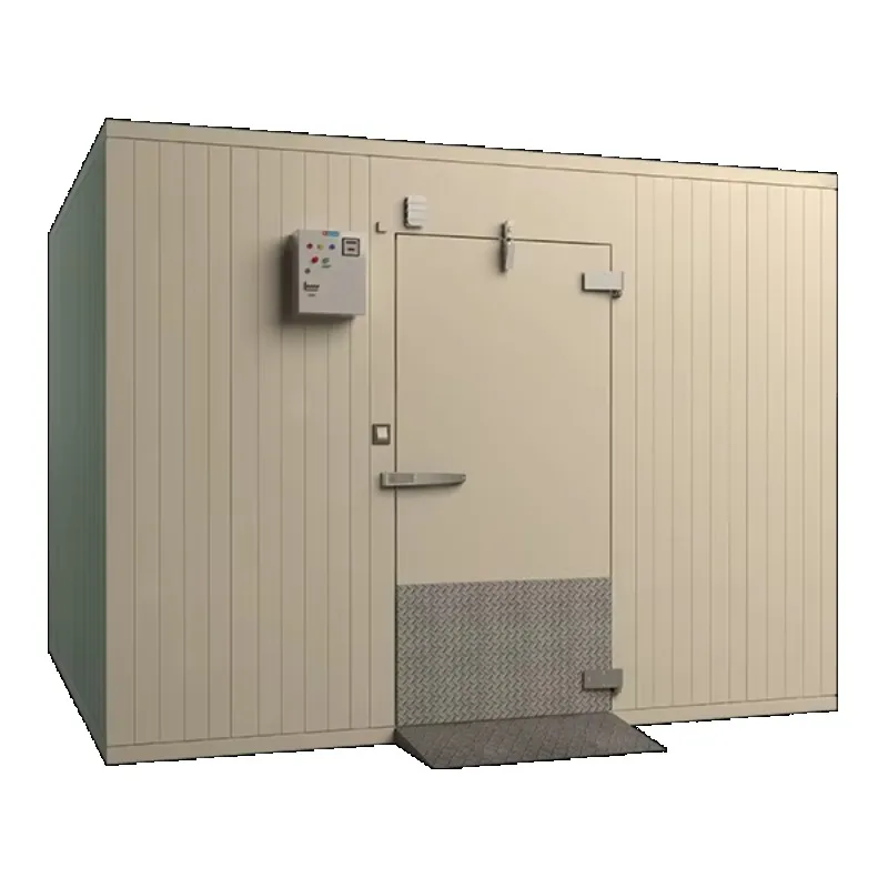 Industrial -40℃ Blast Freezer Container Storage 20ft Mobile Cold Room Quick Freezing Storage Customized Walk in Freezer