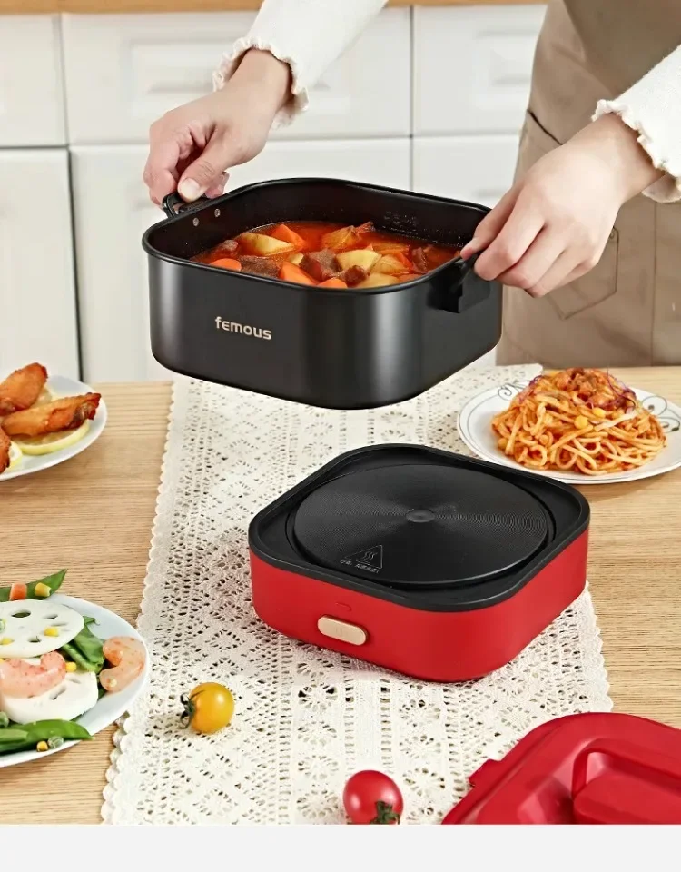 220V Portable Electric Skillet - Perfect for Dorm, Travel and Camping - Foldable and Detachable Design