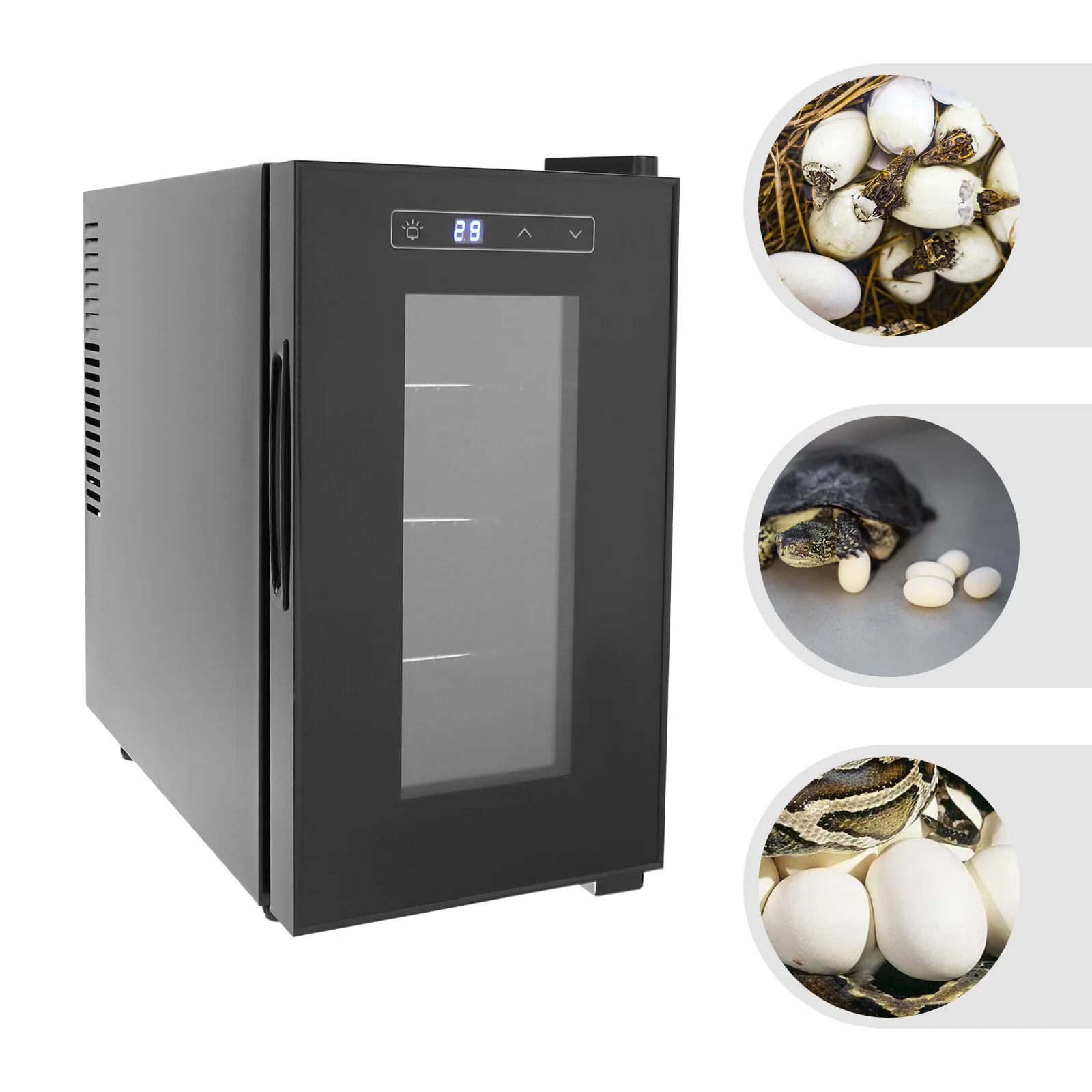 

110V Reptile Egg Incubator Black Reptile Egg Incubator Reptile Egg Incubator With Precise Temperature Control