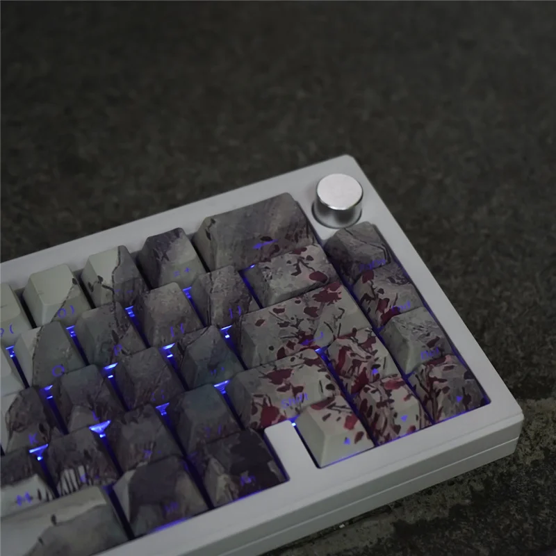 Imagem -05 - Estilo Antigo Pintura a Tinta Keycaps Perfil Cereja Pbt Sublimação de Corante Letra Lateral Luz Através de Keycaps para Teclado Mecânico