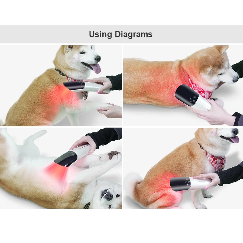 أداة العلاج بالضوء LED المحمولة لمعدات التطهير البيطرية للحيوانات الأليفة