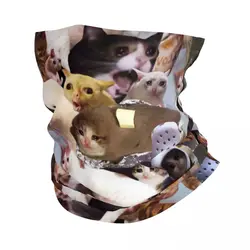 Crying Cat Memes Bandana Neck Gaiter for Ski Camping Men Women Wrap Scarf Animal Headband Warmer