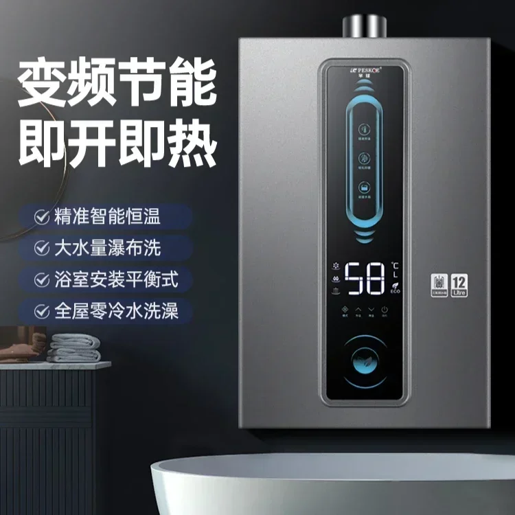 Household Gas Water Heater - 12L, Natural Gas & Electric, Constant Temp, Forced Exhaust, Balanced,  Reliable & Efficient