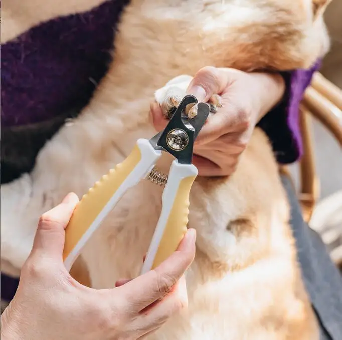 

painless nail clippers for dogs Professional Pet Nail Clipper with Safety Guard Stainless Steel Scissors Cat Dog for Claw Care