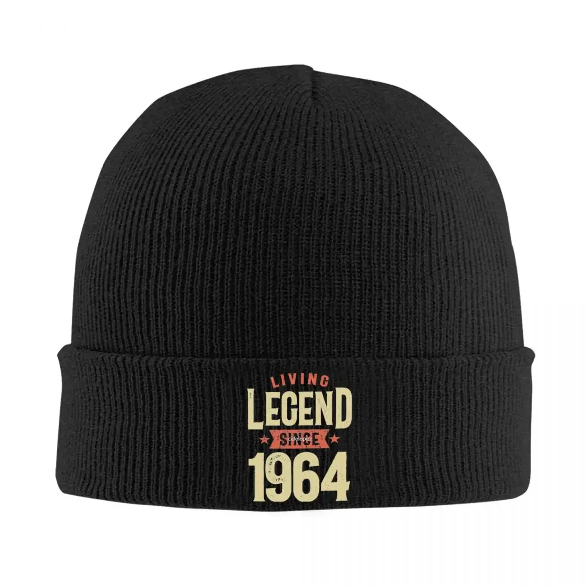 Living Legend 1964 Beanie Hats Knit Hat Outdoor Sport Warm Men Women Caps Autumn Winter Graphic Retro Bonnet Hats Gift