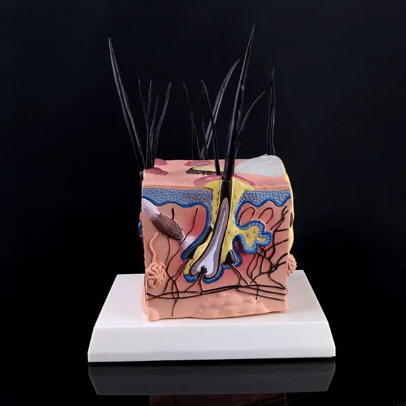 PXPA SICK DOG DOG CANINE CANINE SKINAMICAL MODER