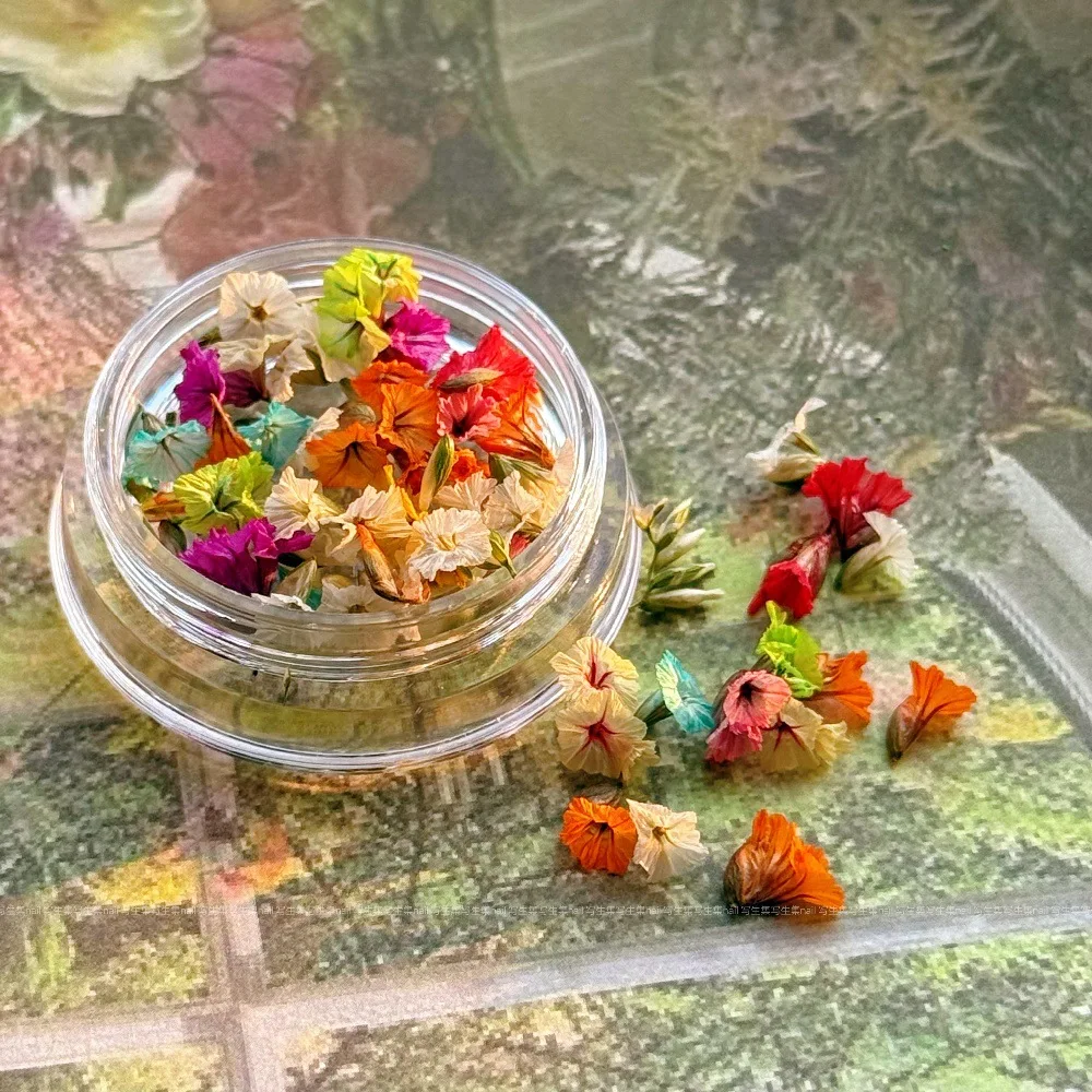 -الصيف الملون-الزهرة الجافة مسمار الملحقات صغيرة طبيعة التطريز فلوريت المجففة جرس الكركديه البتلة مسمار الفن زهر 404