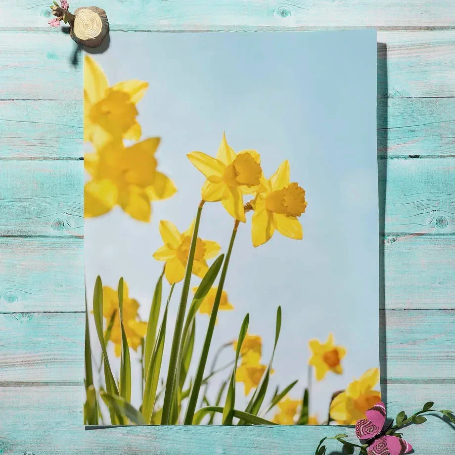 لوحة زيتية جدارية طبيعية ، ملصق الربيع والطباعة ، الأصفر ، زهرة الزنبق ، الأرنب ، منزل ريفي ، الشمال ، غرفة المعيشة ، ديكور المنزل