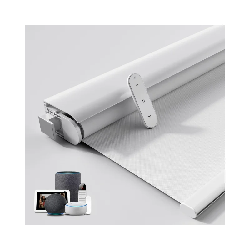 Hot Selling Best Quality Cheap Compatible with Alexa Blackout no drill Electric Motorized Remote Control Roller Blinds For Home