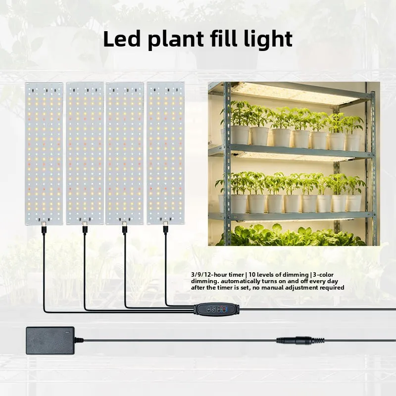 2026 New 12V Full Spectrum Square Quantum LED Plant Light, Timable Grow Supplement Lamp for Indoor Plant Cultivation