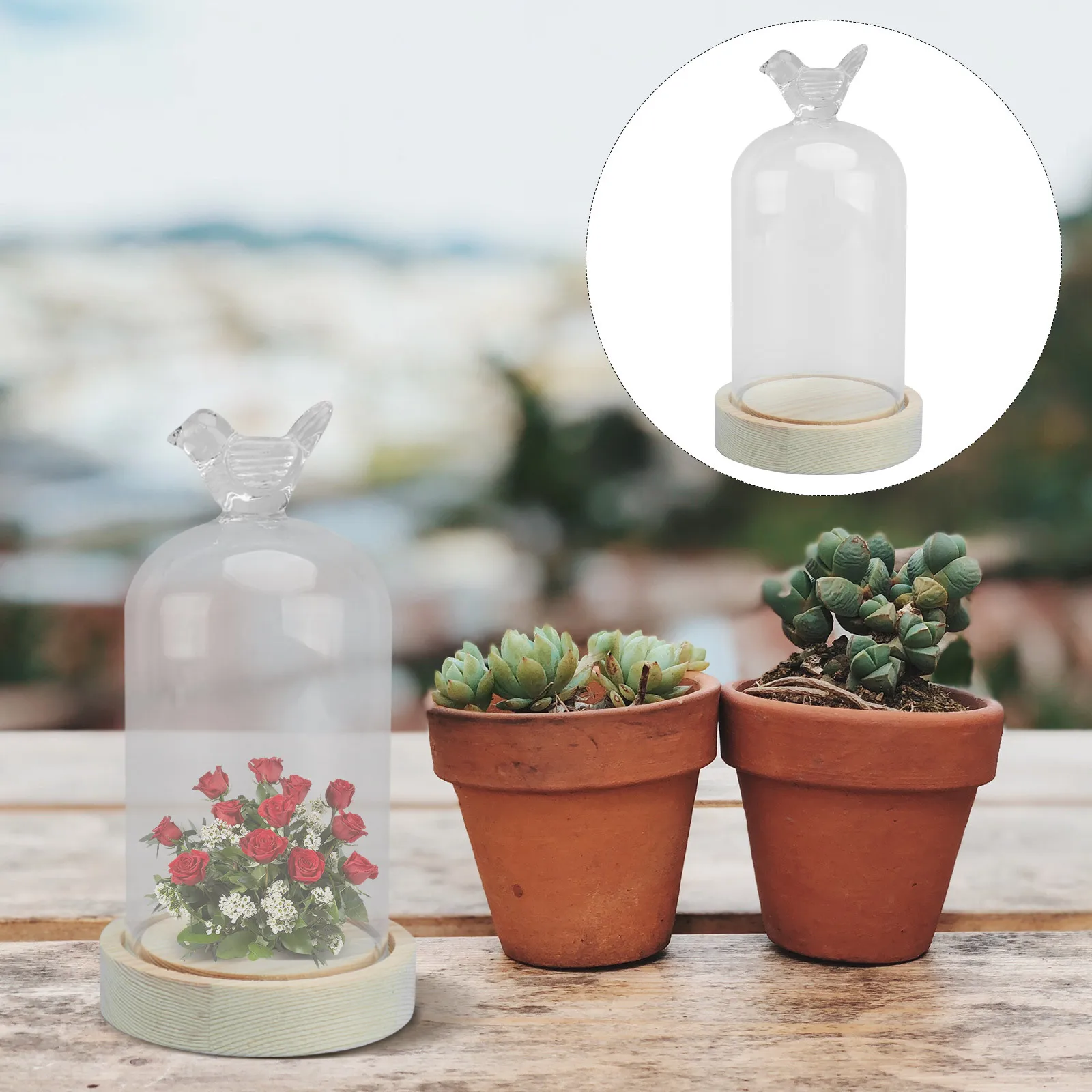 

1Pcs Wood Base Glass Display Cover with Bird Accent Clear Dome for Preserved Flower Protection Stylish Shelf Decor Multi-Purpose