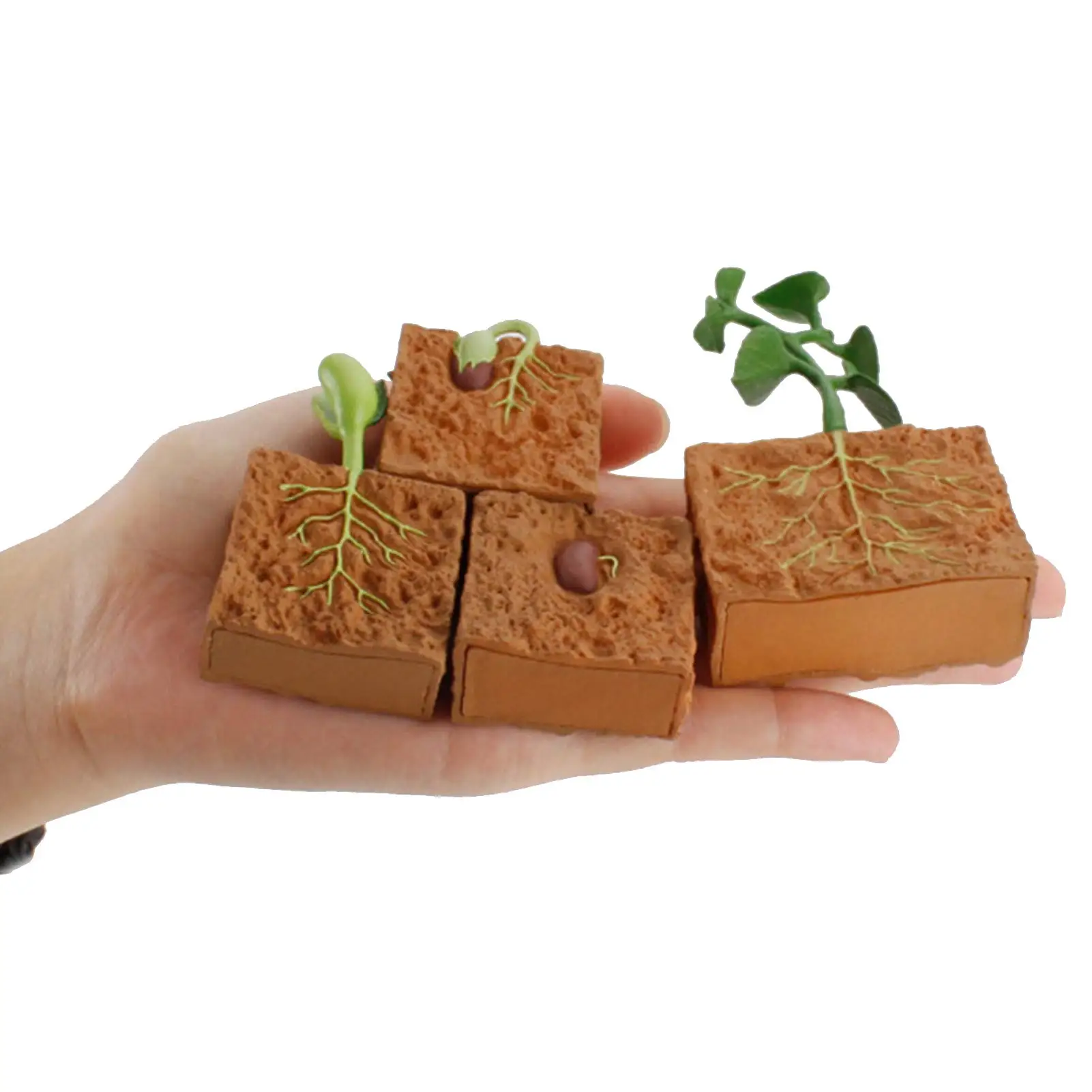 4Pcs Life Cycle of a Green Plant Grown Lifelike Plants Educational Toy PVC Plant Growth Cycle Fake Plant Toy for Kids Teaching T