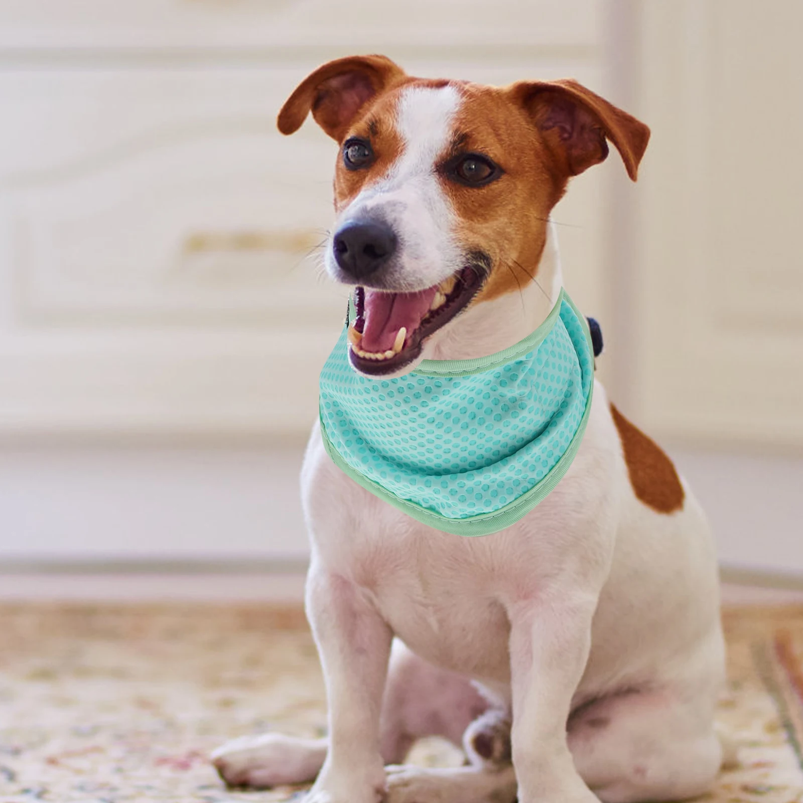 

Cool Dog Collars Cooling Scarf Adjustable Pet Summer Supply PVA Puppy Neck Heat Resistant Breathable Dog Walking