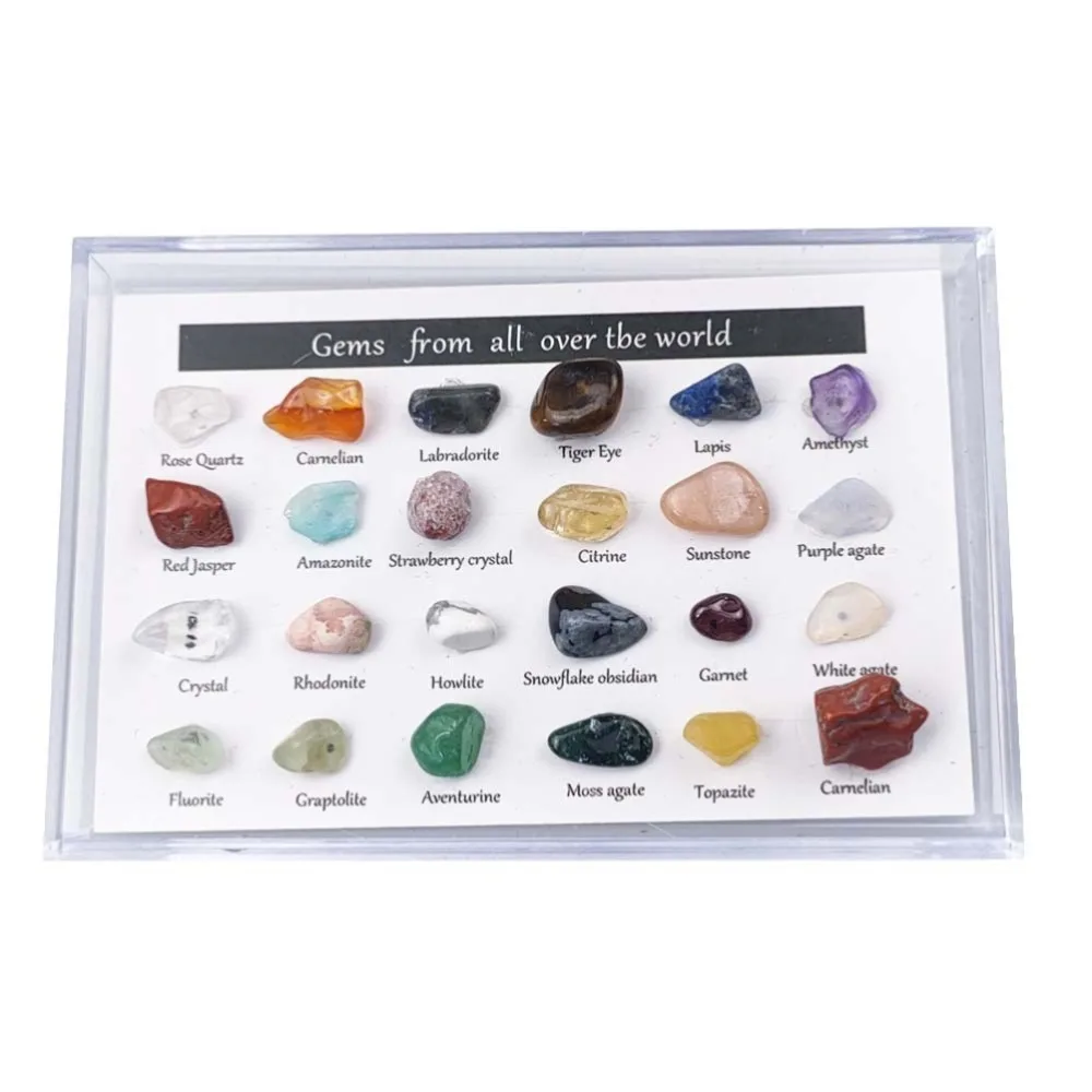 24 Pieces Natural Specimens Mineral Gem Kit Learning Activity Gemstones Set Rocks Collection Students