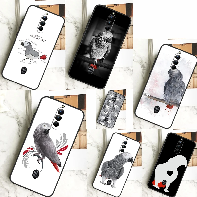 African Grey Parrot…