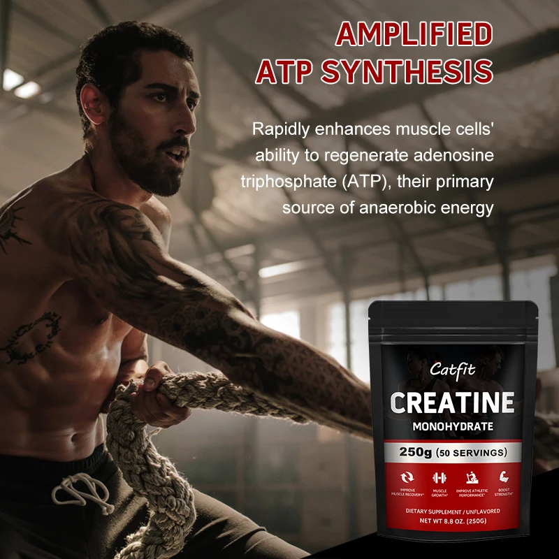 Catfit Creatine Monohydrate Improve Gain Strength Build Muscle&Enhance Athletic Performance Muscle protein for Gym